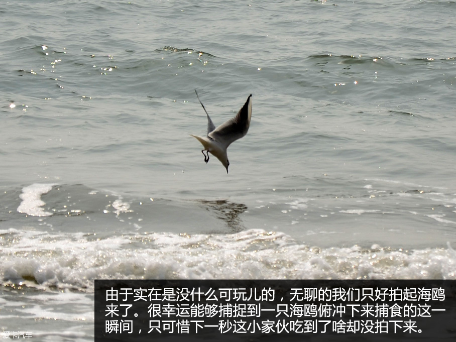 長安歐尚北戴河之行