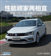 ���ܹ˼������� �����Լ�����GLI 2.0T