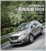 ���Զ������ 3008 1.6THP�Զ����а�