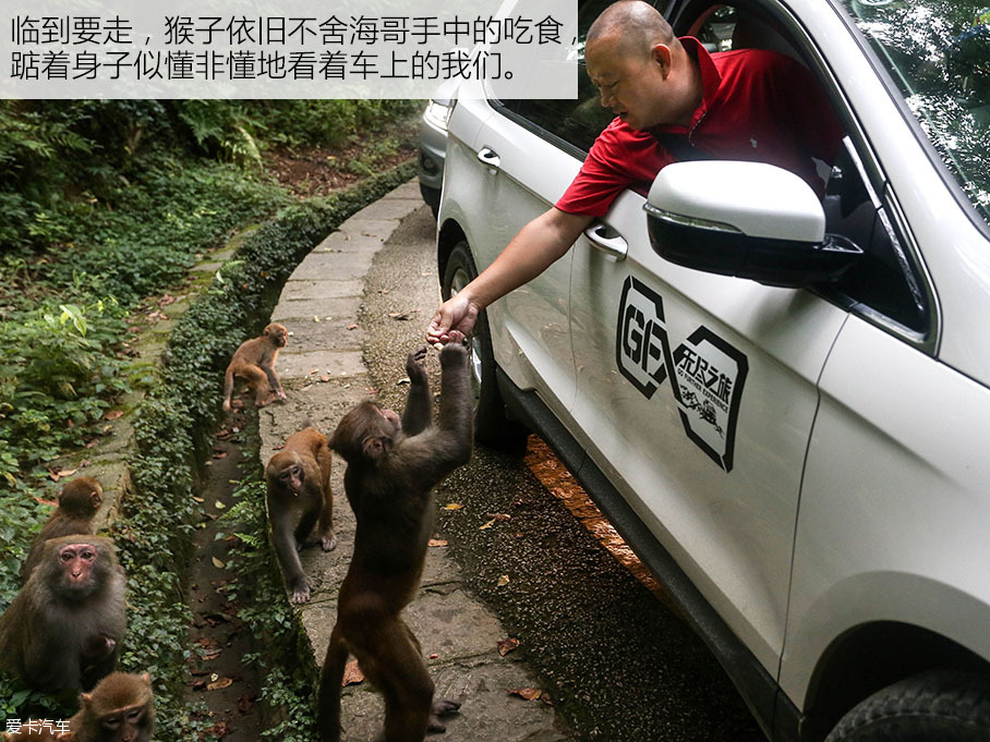 长安福特2016款锐界
