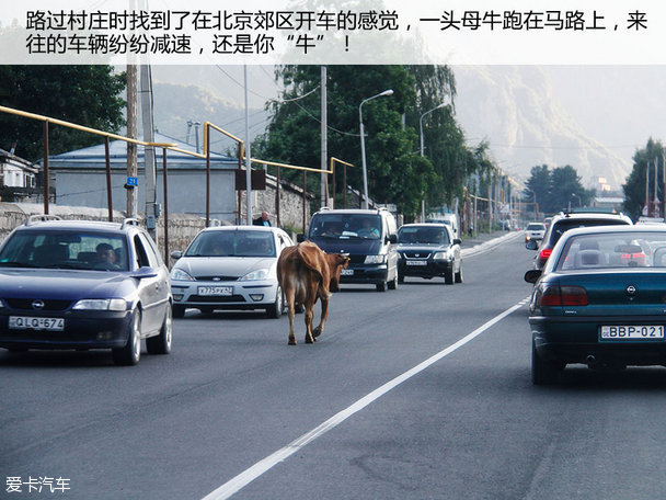 途观丝绸之路（二）