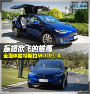 ������ɵ���ӥ ȫ��������˹��MODEL X